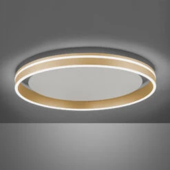 Paul Neuhaus Q-VITO LED-Deckenlampe, Ø 60cm -Laden Für Heimbeleuchtung 7501853 3