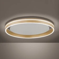 Paul Neuhaus Q-VITO LED-Deckenlampe, Ø 60cm -Laden Für Heimbeleuchtung 7501853 4