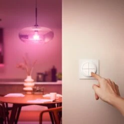 Philips Hue Tap Dial Schalter, Weiß -Laden Für Heimbeleuchtung 7534355 6