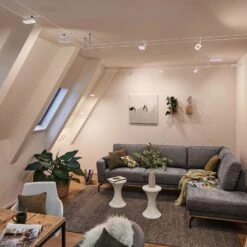 Paulmann Frame LED-Seilsystem 5fl. Weiß Matt -Laden Für Heimbeleuchtung 7602845 8