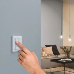 Paulmann Wandschalter ZigBee 2-fach On/Off/Dimmer 14 Paulmann Wandschalter ZigBee 2-fach On/Off/Dimmer -Laden Für Heimbeleuchtung 7602879 4