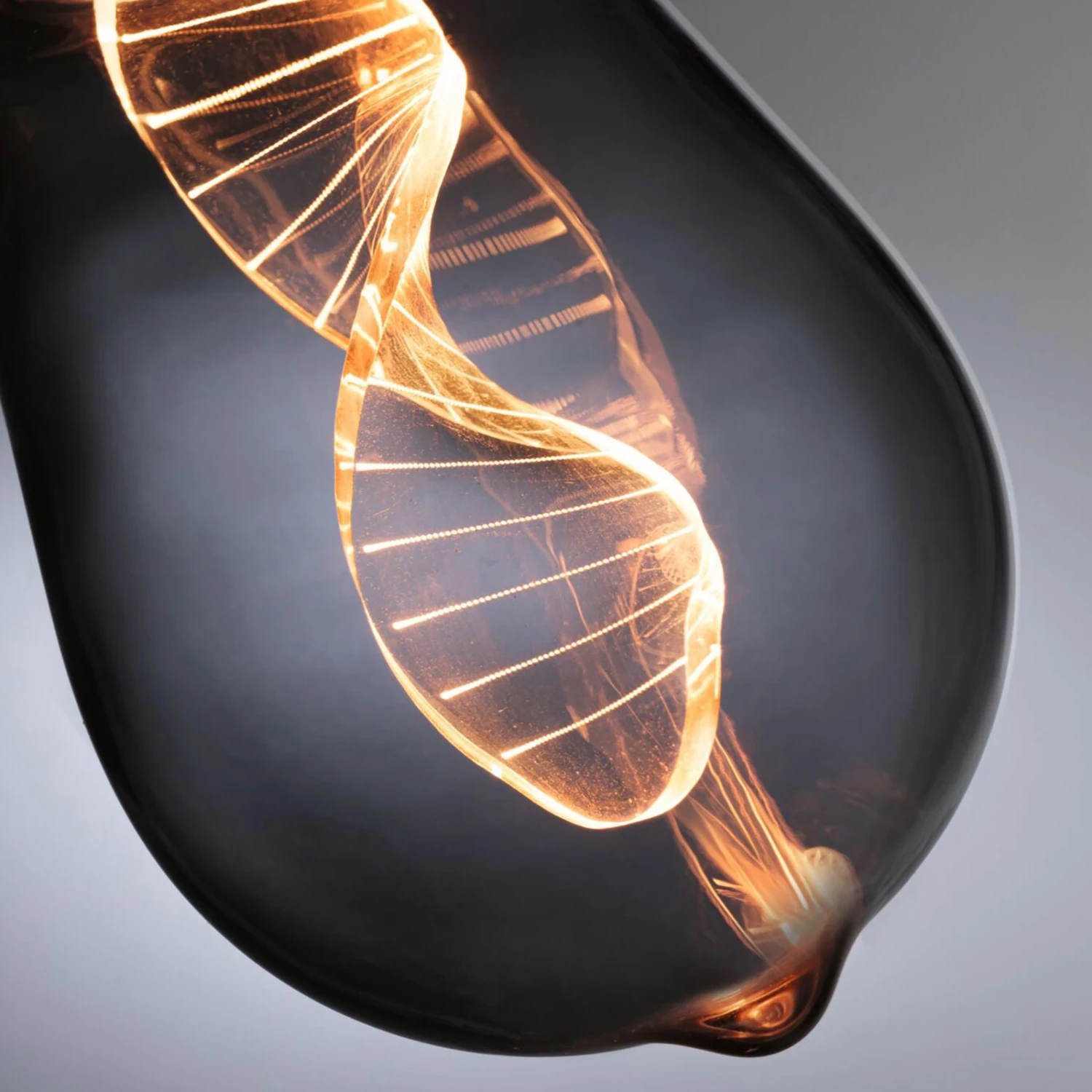 Paulmann LED-Lampe E27 3,5W Helix 1800K ST64 Rauch 5 Paulmann LED-Lampe E27 3,5W Helix 1800K ST64 Rauch – Bild 3