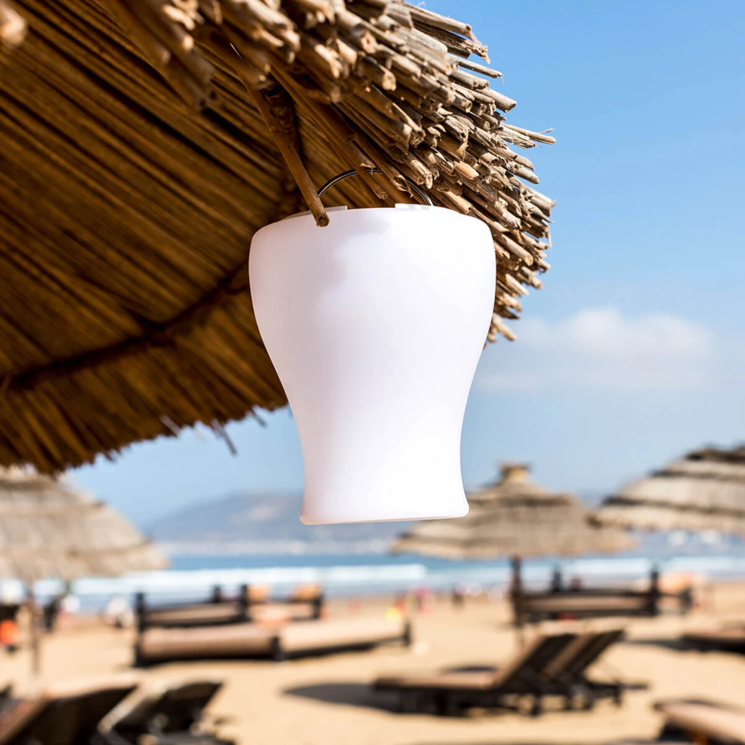 Olio - Steuerbare LED-Lichtquelle Und Vase 10 Olio - Steuerbare LED-Lichtquelle Und Vase – Bild 8