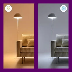 WiZ A67 LED-Lampe Wi-Fi E27 13W Matt RGB -Laden Für Heimbeleuchtung 9038180 6