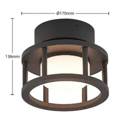 Lucande Berenike Außendeckenleuchte -Laden Für Heimbeleuchtung 9619327 3